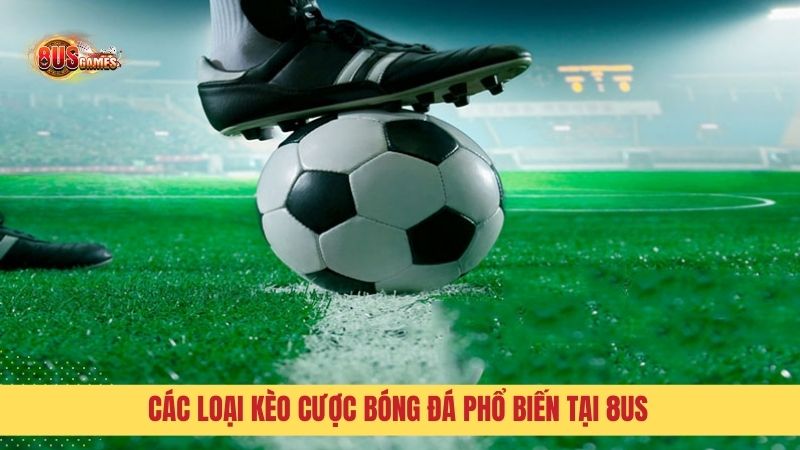 Cách đặt cược bóng đá - nắm rõ các loại kèo phổ biến