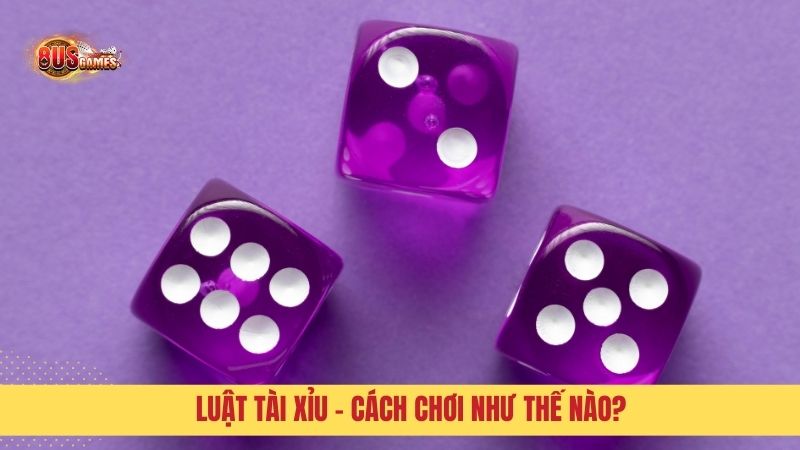 Luật Tài Xỉu - Cách chơi như thế nào?