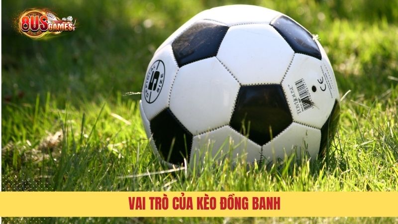 Vai trò của loại hình cá cược này là gì?