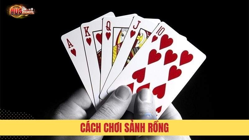 Chi tiết cách chơi sảnh rồng
