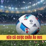 Kinh nghiệm nhận định tình hình thực tế của hai đội bóng